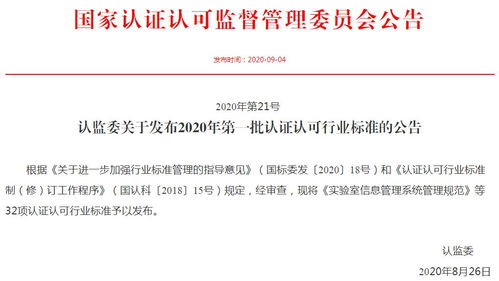 行业内的标准发音实践