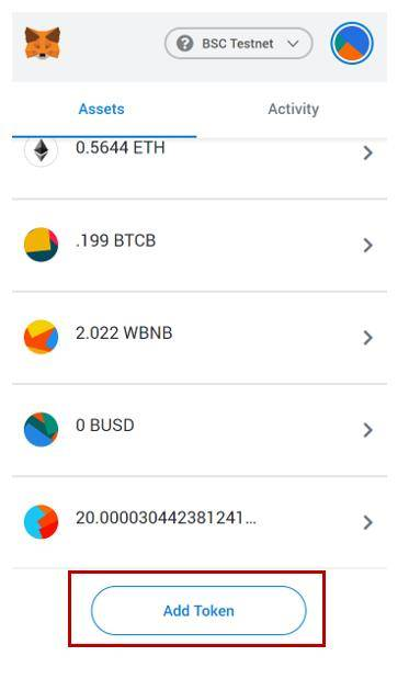 代币参数设置的专业指南
