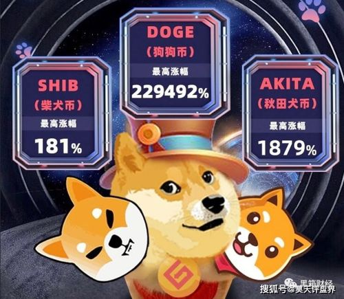 Doge币的收发与交易操作指南