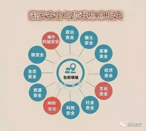 长期维护与安全更新策略