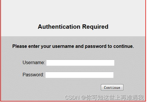 专业用户的高级功能配置