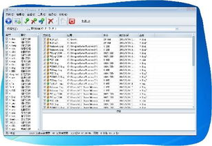 系统缓存与版本兼容性问题