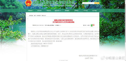 四、多语言支持与区域限制