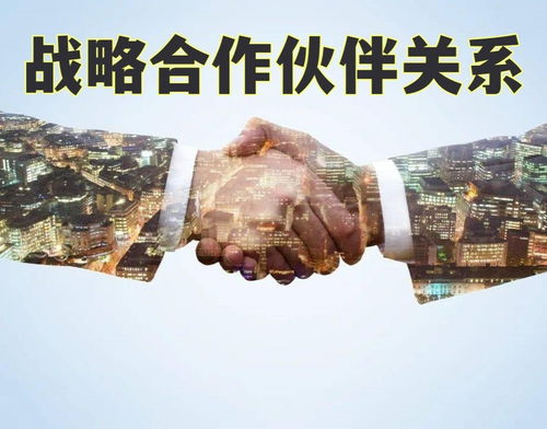 三、行业合作动态：战略伙伴关系验证