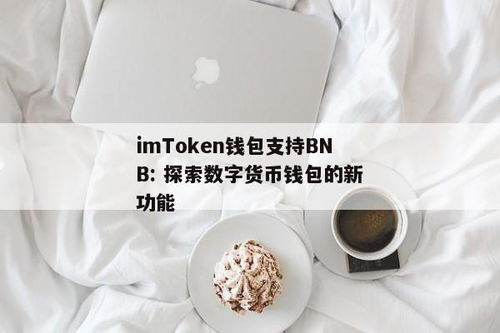 imToken钱包对BNB的基础支持情况