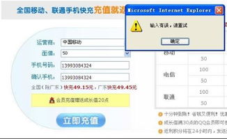 3. 地址输入错误的风险防范