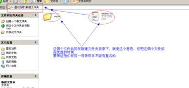 适用场景与用户群体分析