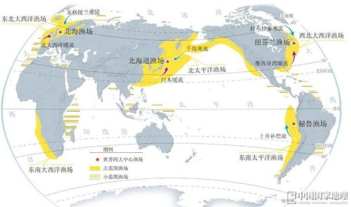 三角洲联盟的起源与形成