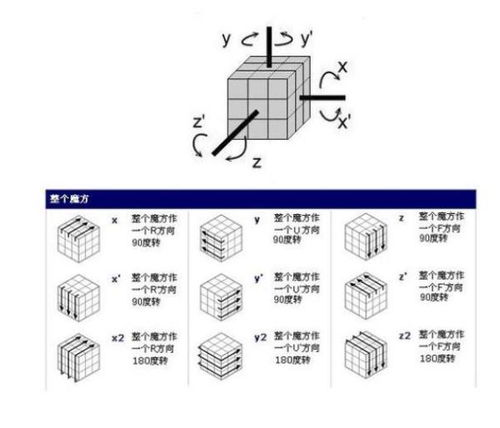 Agent节点的四阶进化论