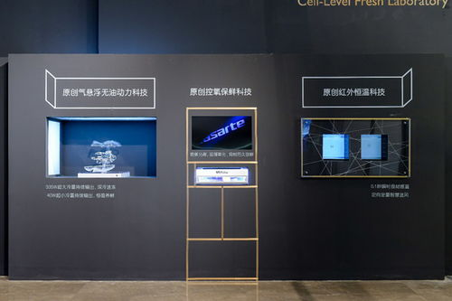 颠覆性创作：零门槛解锁专业级视频制作