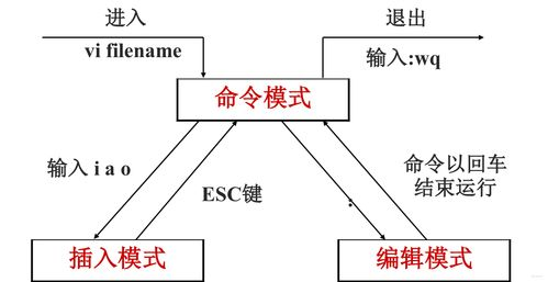 基础操作入门：快速掌握vi使用方法的核心要素
