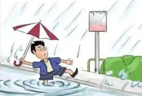 一、环境部署：避开新手第一道拦路虎