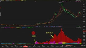 基础操作三板斧：90%用户踩过的坑
