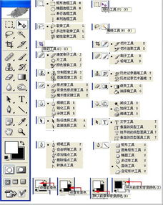 新手必看：巨日禄基础操作与核心参数解析