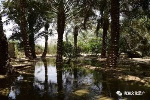 The Evolving Landscape of Stability: Beyond Simple Uptime