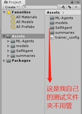 Agent ML基础入门