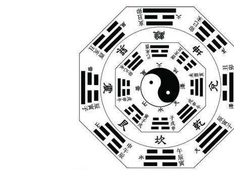 第一周：拆解数字基因库里的生命密码