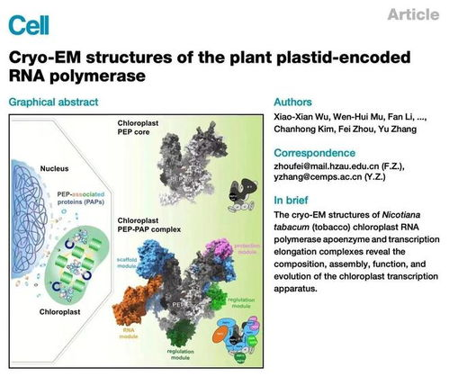可灵入门基础：首次使用的关键步骤
