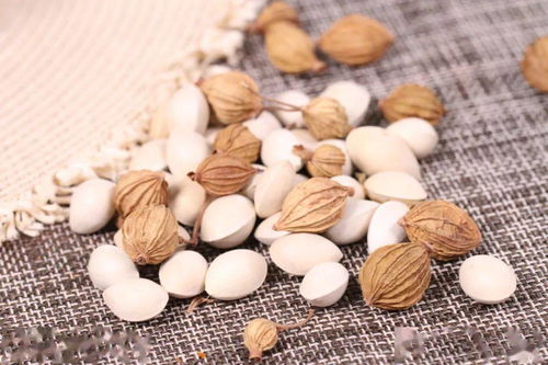 豆包AI初识与入门使用