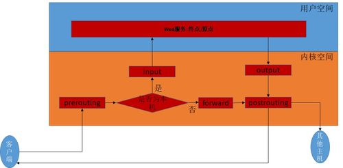 基础使用方法和日常应用