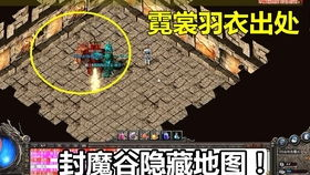 传奇单职业网站新开网,新手入门与玩法解析-全面指南