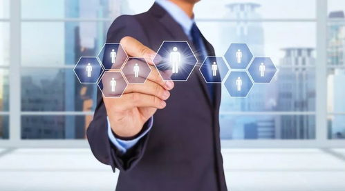 新开超变态单职业,全新玩法体验-游戏攻略解析