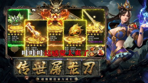 忘忧传奇单职业,经典玩法与独特魅力-全面解析