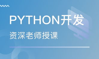 2025年学PHP：选对培训学校比盲目努力更重要？揭秘行业真实生存现状