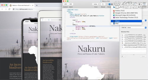 用PHP制作一个简单的学生管理系统：从入门到实践指南