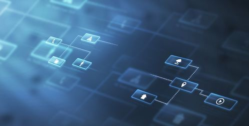 选择计划管理软件的考虑因素