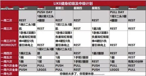 健身计划软件中的训练模块解析