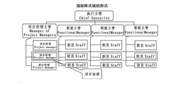 项目团队组织与管理