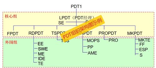 团队组织结构与角色分配