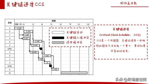开发流程与里程碑规划