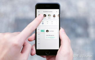 用户界面与体验: