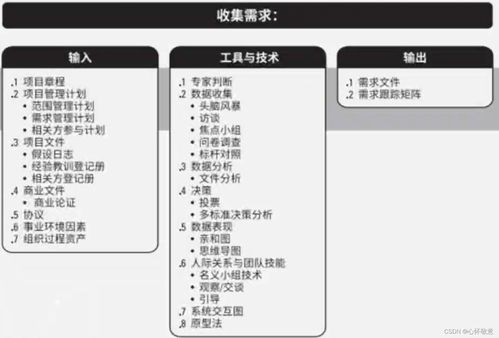 定义项目范围和目标: