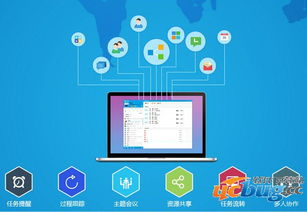 彩虹计划软件在团队协作中的应用