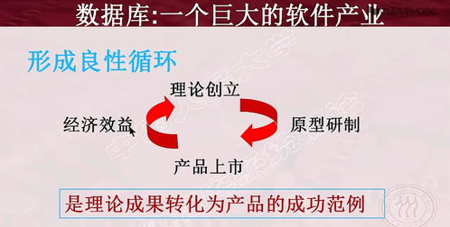 什么是折扣及其基本概念