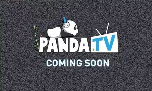 跨境电商网店名字大全,跨境电商的店铺取名