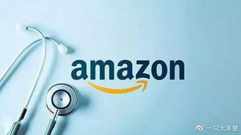 无货跨境电商操作,高效运营的关键点