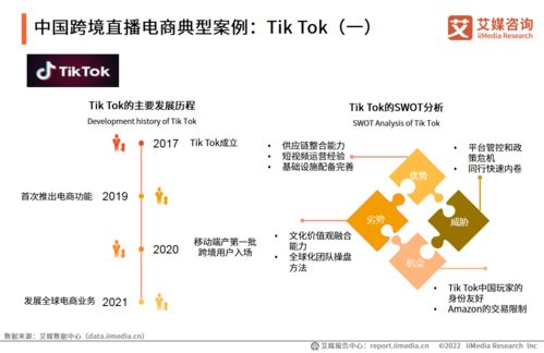TikTok跨境电商平台概览