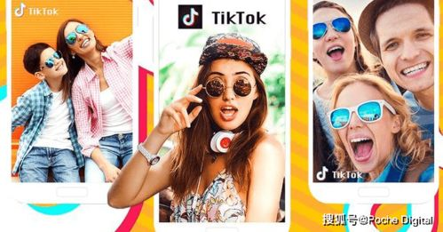 TikTok真假店铺对比分析