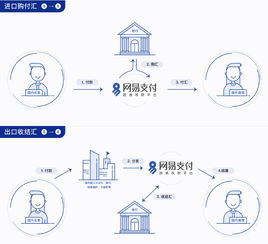 跨境收款平台有哪些有空中云汇,跨境收款平台收款