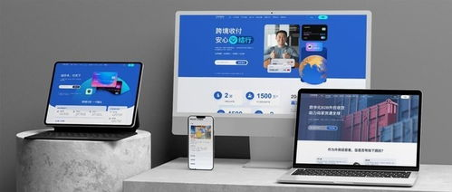 什么是Cogolinks跨境收款?