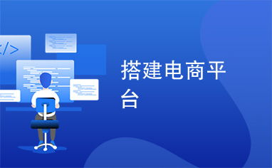 海外电商自营平台的搭建与运营策略
