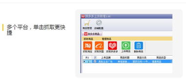 海外电商拼多多市场拓展策略