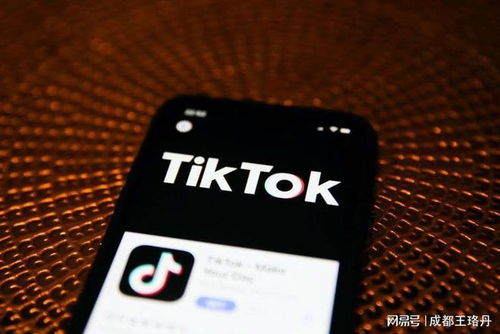 TikTok兑换美元垫付货款的流程解析