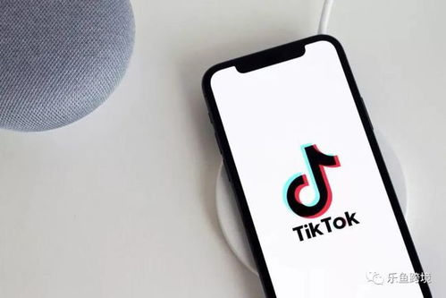 TikTok跨境电商app：零经验布局全球市场的完整指南