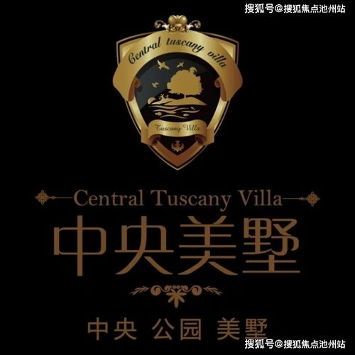 三角洲游戏手机版的核心特色与玩法解析