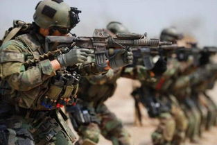 三角洲特种部队游戏简介与历史